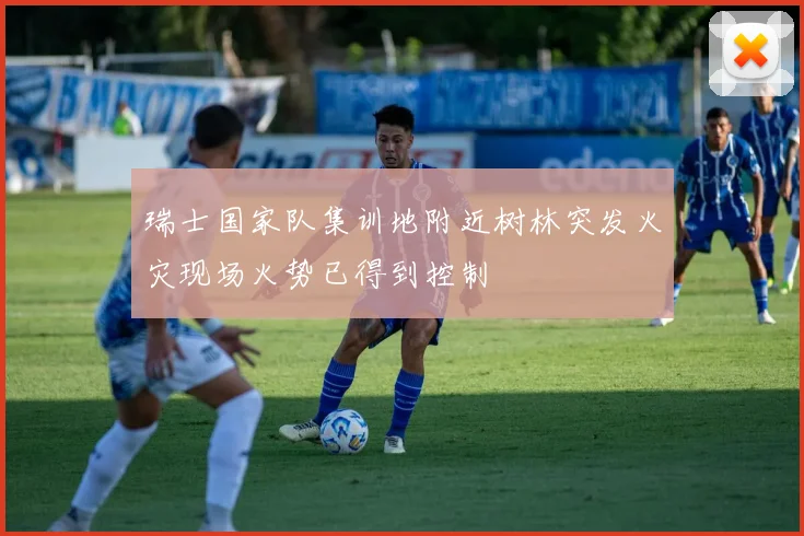 瑞士国家队集训地附近树林突发火灾现场火势已得到控制